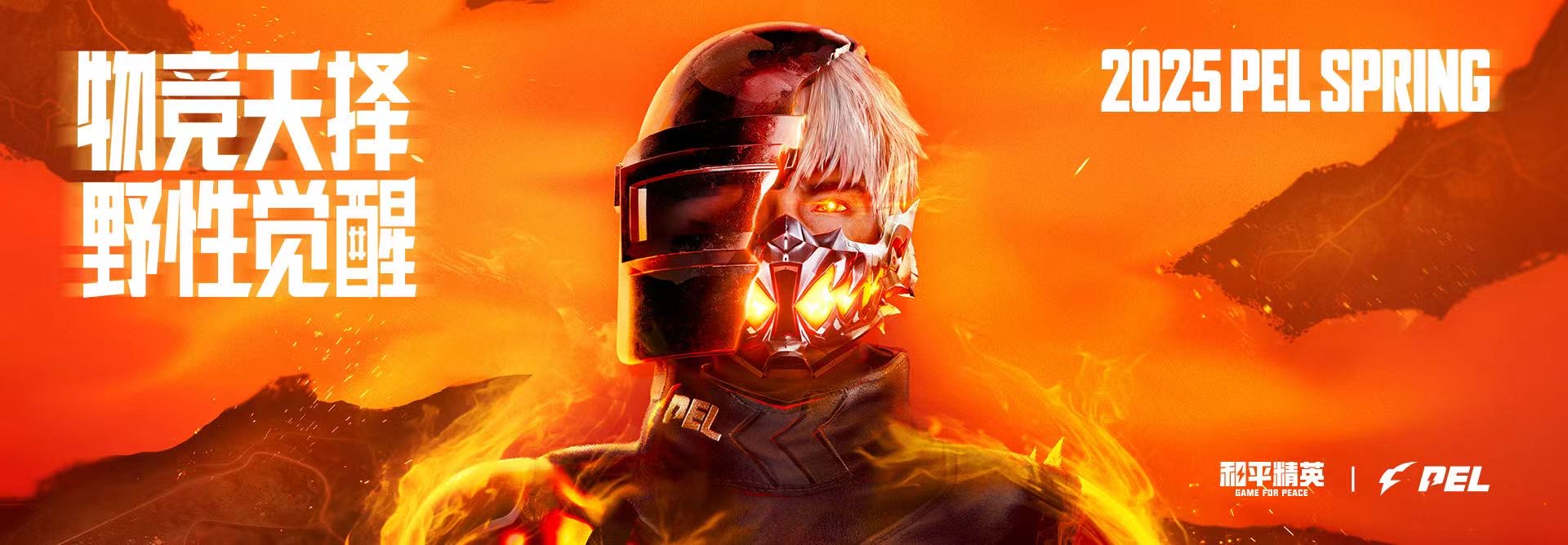 和平精英辅助【XL主播定制】独家绘制透视 完美过检 雷达预警 生态触摸锁 函数自瞄 可观透